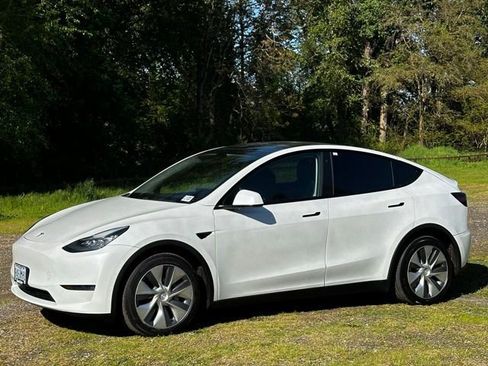 Used 2020 Tesla Model Y Long Range AWD/4WD image 5