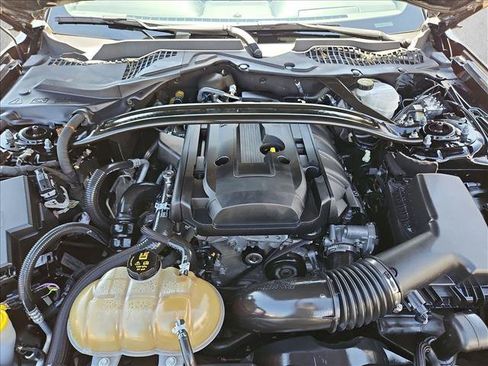 Used 2019 Ford Mustang Premium w/ Ecoboost Performance Package RWD image 28