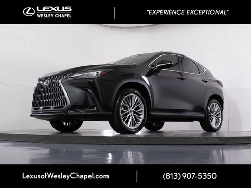 Used 2025 Lexus NX 350 AWD w/ Cold Area Package image 8