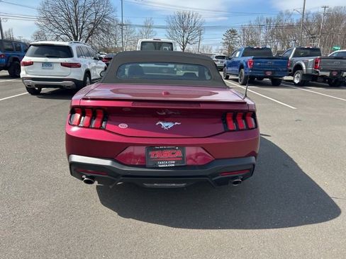 New 2025 Ford Mustang Premium image 6