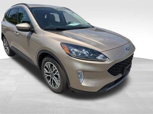 Used 2020 Ford Escape SEL FWD image 2