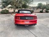 Used 2019 Ford Mustang Premium image 6