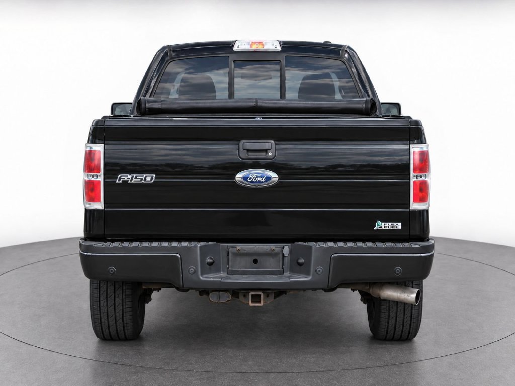 Used 2010 Ford F150 FX4 AWD/4WD image 6