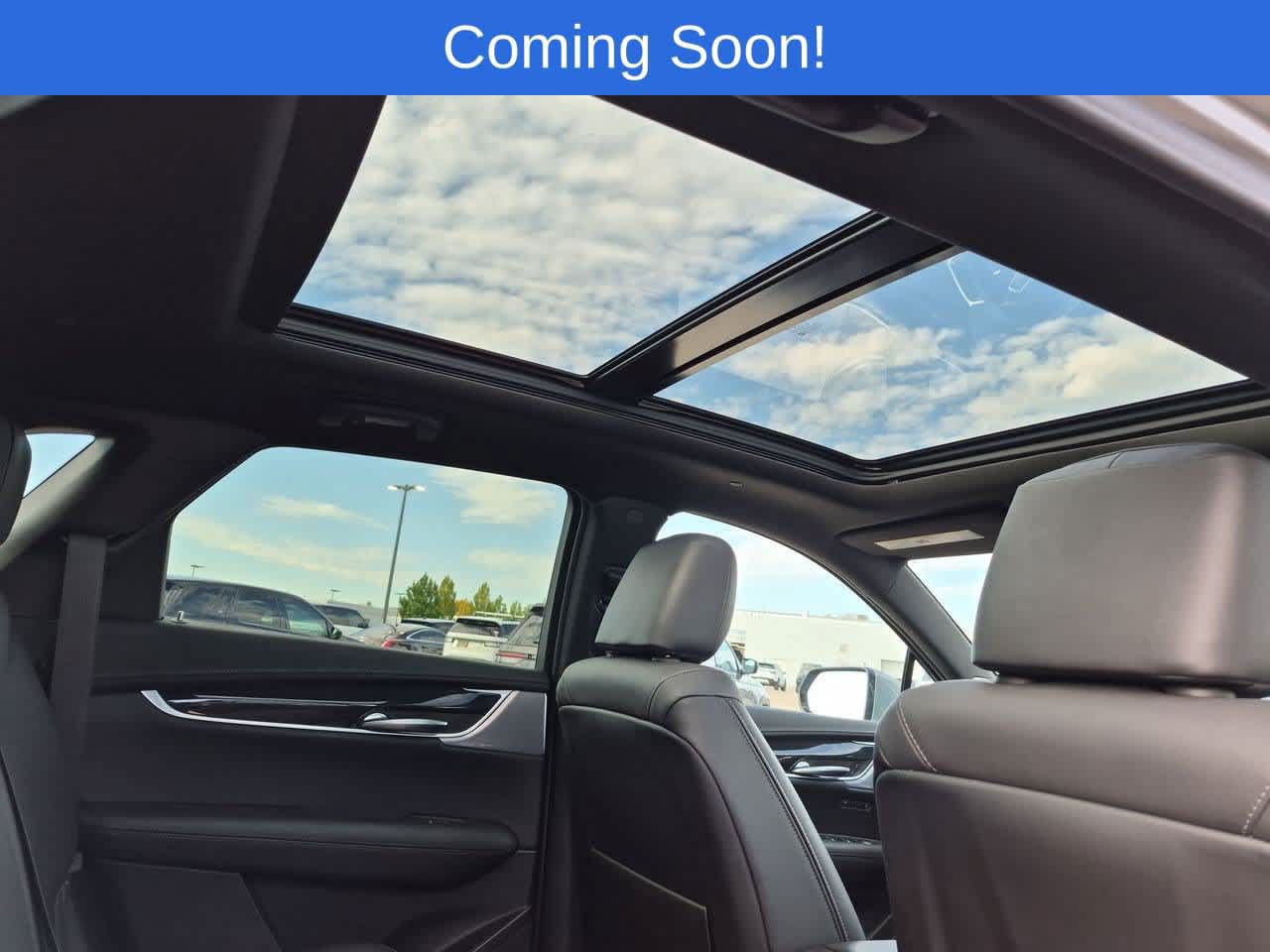 Used 2024 Cadillac XT5 Premium Luxury AWD/4WD image 22