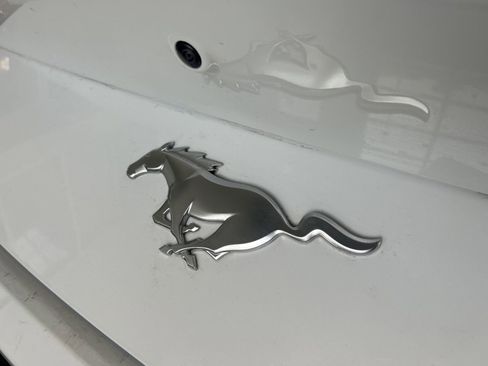 Used 2024 Ford Mustang Premium image 7