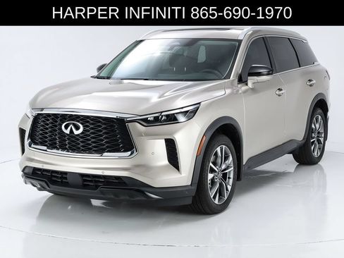 Used 2024 INFINITI QX60 Luxe FWD image 1