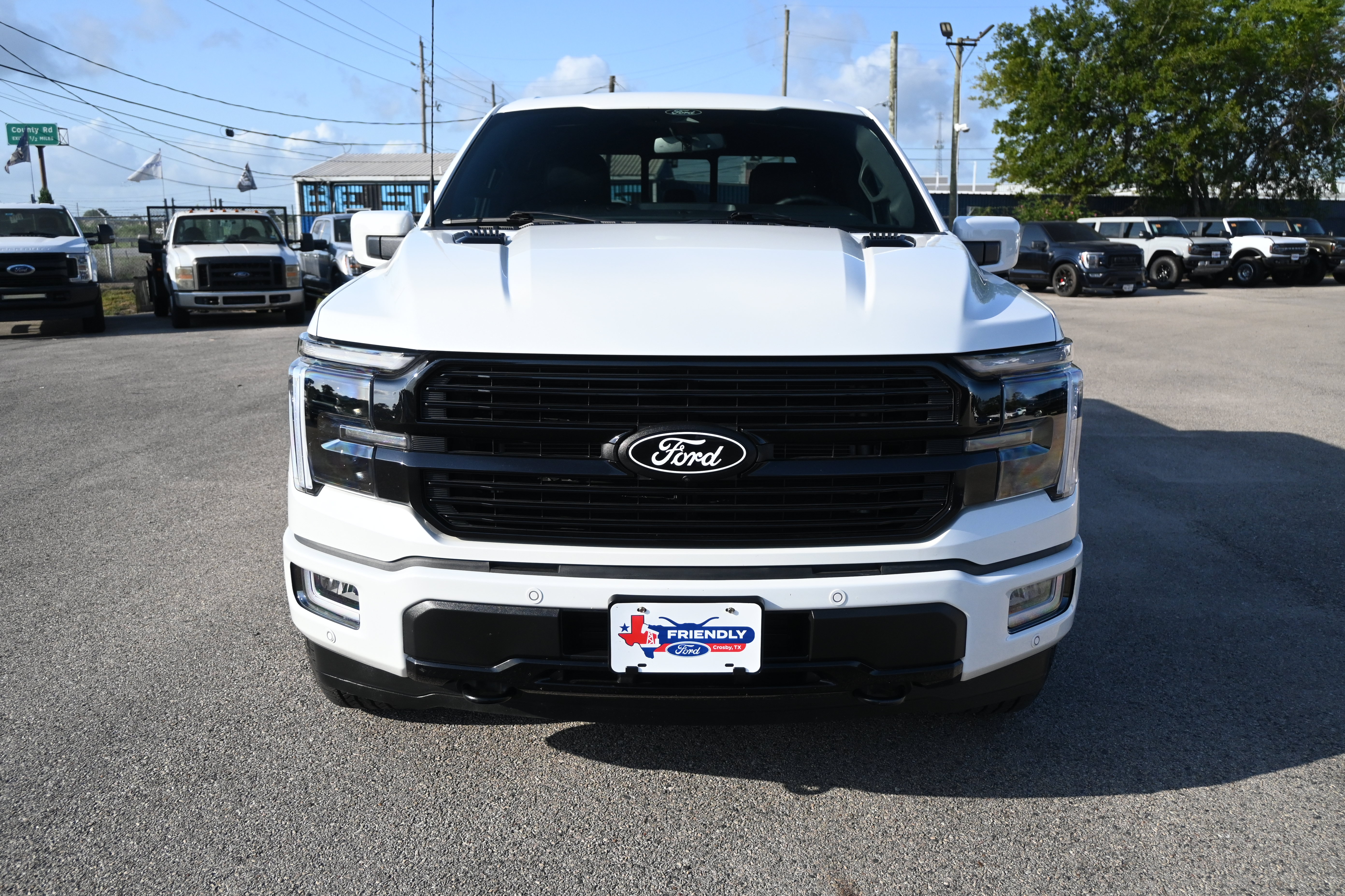 Used 2024 Ford F150 Platinum w/ Equipment Group 702A High AWD/4WD image 6