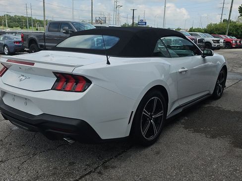 Used 2024 Ford Mustang Premium RWD image 5