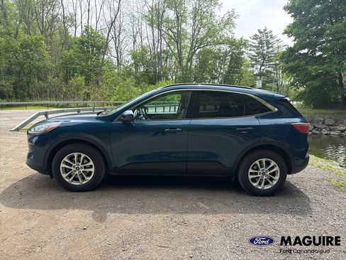 Used 2020 Ford Escape SE AWD/4WD image 4