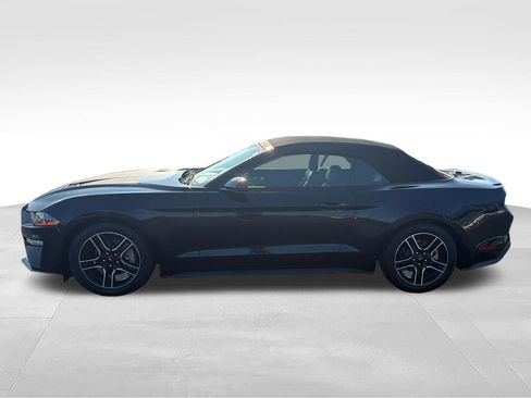 Used 2020 Ford Mustang Premium RWD image 2