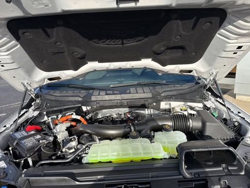 New 2025 Ford F150 XLT w/ Equipment Group 302A MID image 40