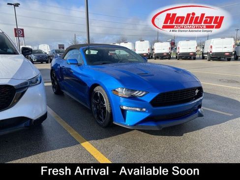 Certified 2020 Ford Mustang GT Premium w/ Equipment Group 401A RWD image 1