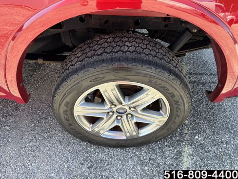 Used 2019 Ford F150 XLT w/ Equipment Group 302A Luxury AWD/4WD image 11