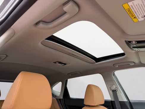 New 2026 Kia Seltos EX w/ EX Sunroof Package image 16