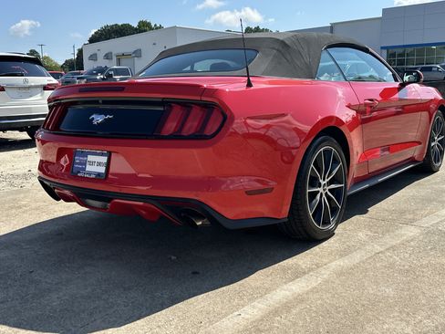 Used 2017 Ford Mustang Premium w/ Wheel & Stripe Package RWD image 6