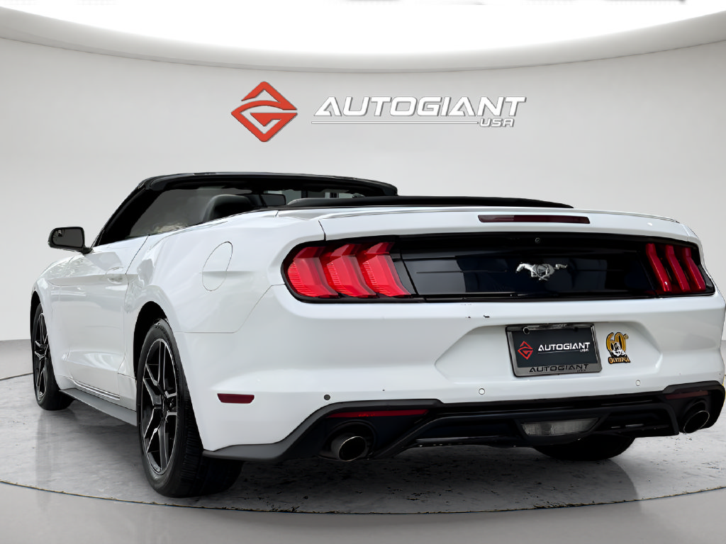 Used 2019 Ford Mustang Premium RWD image 8