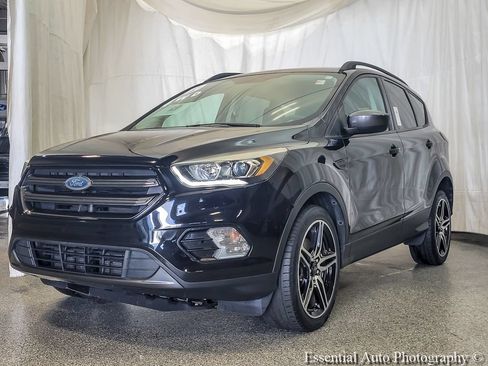 Used 2019 Ford Escape SEL AWD/4WD image 2