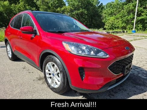 Used 2020 Ford Escape SE FWD image 5