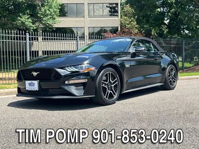 Used 2019 Ford Mustang GT Premium w/ Equipment Group 401A