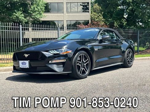 Used 2019 Ford Mustang GT Premium w/ Equipment Group 401A RWD image 1