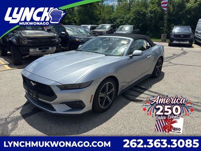 Used 2025 Ford Mustang Premium
