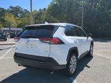 Used 2020 Toyota RAV4 XLE Premium image 5