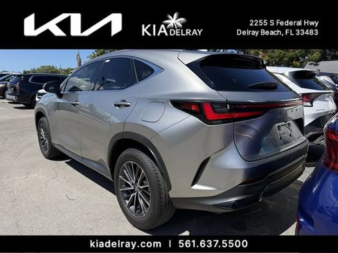 Used 2024 Lexus NX 250 FWD w/ Cold Area Package image 8