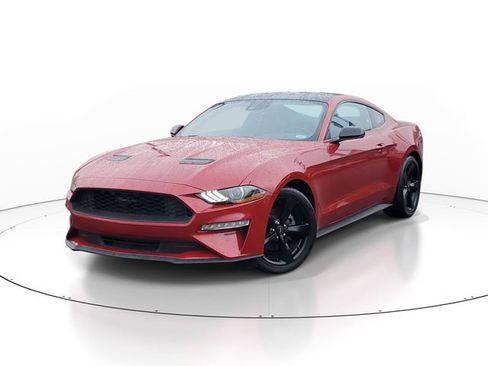 Certified 2023 Ford Mustang Premium image 1