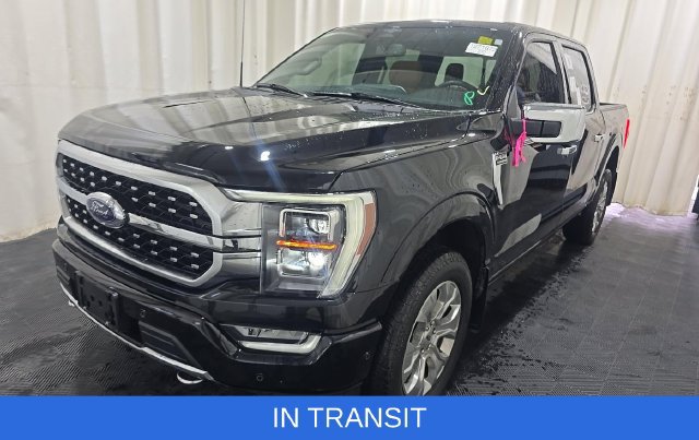 Used 2023 Ford F150 Platinum w/ FX4 Off-Road Package AWD/4WD image 1
