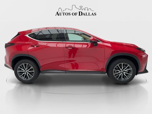 Used 2025 Lexus NX 250 FWD w/ Cold Area Package image 6