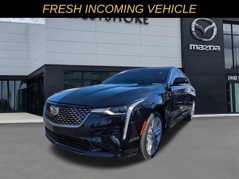 Used 2025 Cadillac CT4 Premium Luxury RWD image 5