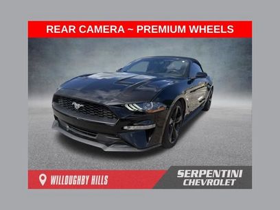 Used 2019 Ford Mustang Premium