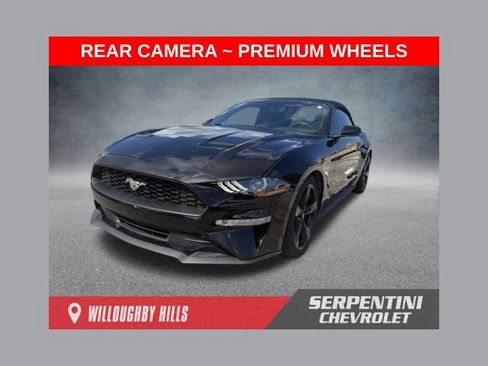 Used 2019 Ford Mustang Premium RWD image 1