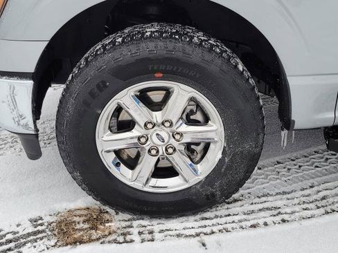 Used 2025 Ford F150 XLT w/ Equipment Group 301A Standard image 5