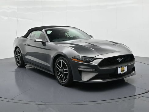 Used 2019 Ford Mustang Premium RWD image 4