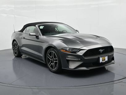 Used 2019 Ford Mustang Premium