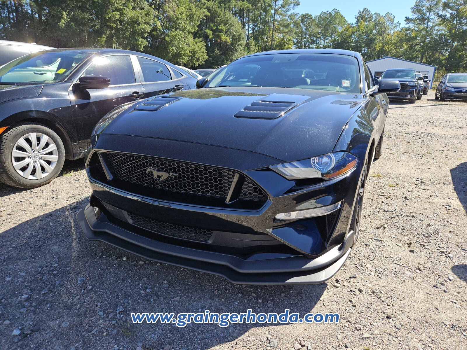 Used 2020 Ford Mustang GT Premium w/ Equipment Group 401A RWD image 2