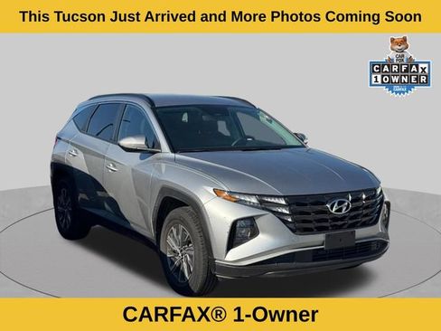 Used 2024 Hyundai Tucson Blue AWD/4WD image 2
