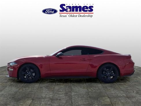 Used 2023 Ford Mustang Coupe w/ Equipment Group 101A image 4