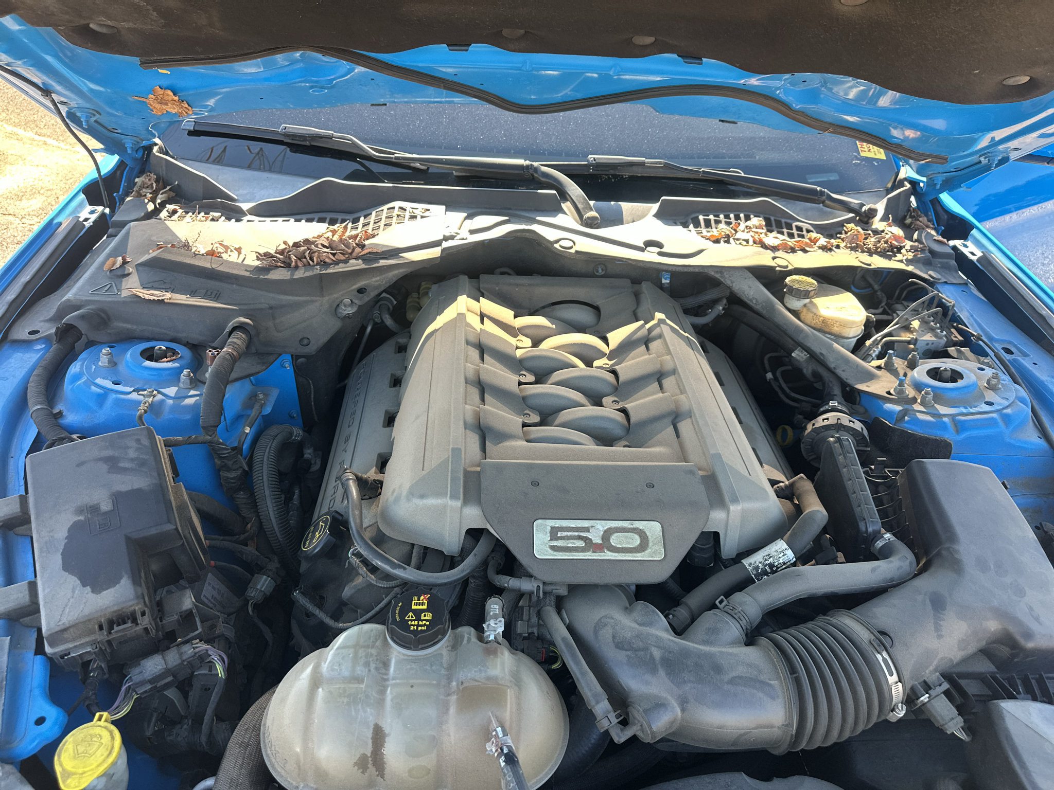 Used 2017 Ford Mustang GT Premium RWD image 27