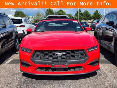 Used 2024 Ford Mustang Premium