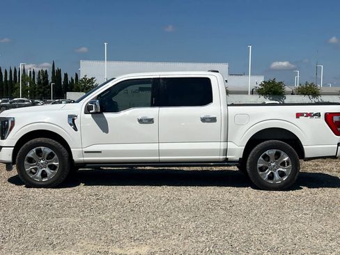Used 2021 Ford F150 Platinum w/ Equipment Group 701A High AWD/4WD image 6