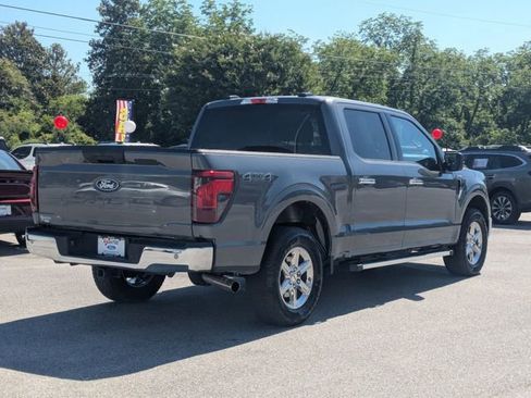Used 2025 Ford F150 XLT w/ Equipment Group 301A Standard AWD/4WD image 3