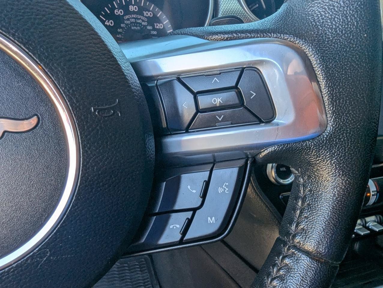 Used 2019 Ford Mustang Coupe w/ Equipment Group 101A RWD image 14
