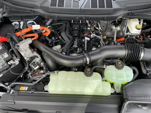 New 2025 Ford F150 XLT w/ Equipment Group 302A MID image 66