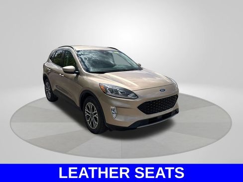 Used 2021 Ford Escape SEL AWD/4WD image 4