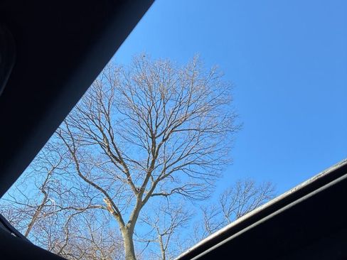 Used 2016 Dodge Charger R/T w/ Plus Group image 14