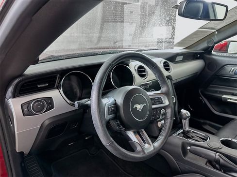 Used 2017 Ford Mustang Premium w/ Wheel & Stripe Package image 9