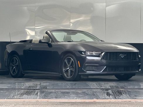 Used 2024 Ford Mustang Premium image 1