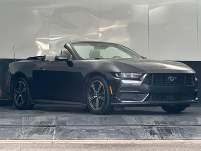 Used 2024 Ford Mustang Premium